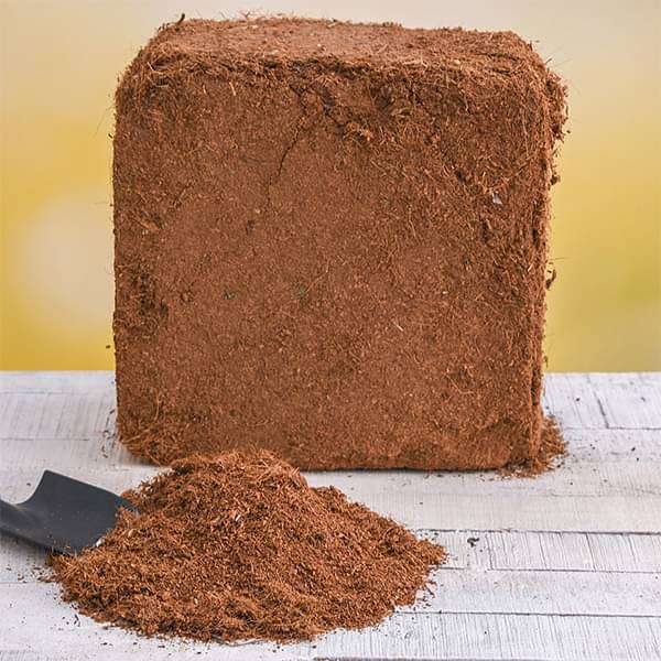 nurserylive soil and fertilizers coco peat block 5 kg 16968789885068 600x600